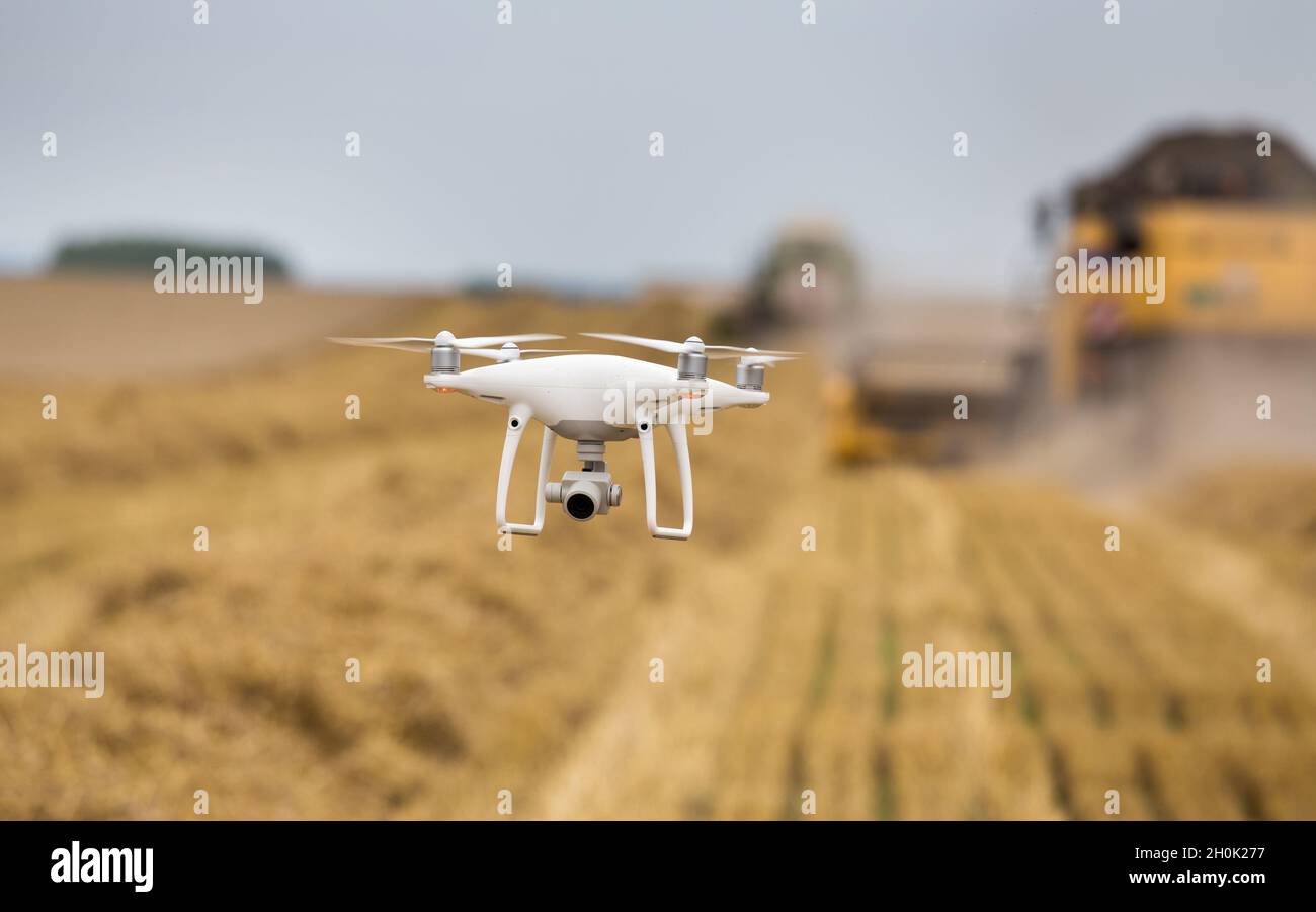Drohne fliegt vor zwei Mähdreschern, die im Sommer im Weizenfeld arbeiten Stockfoto