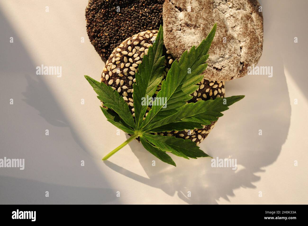 Marihuana-Blatt und Süßigkeiten auf weißem Hintergrund. Cannabisblüten und Kekse aus der Nähe. Durch Sonnenlicht beleuchtet. Hanf Erholung, Canna Küche, Zeitvertreib Stockfoto
