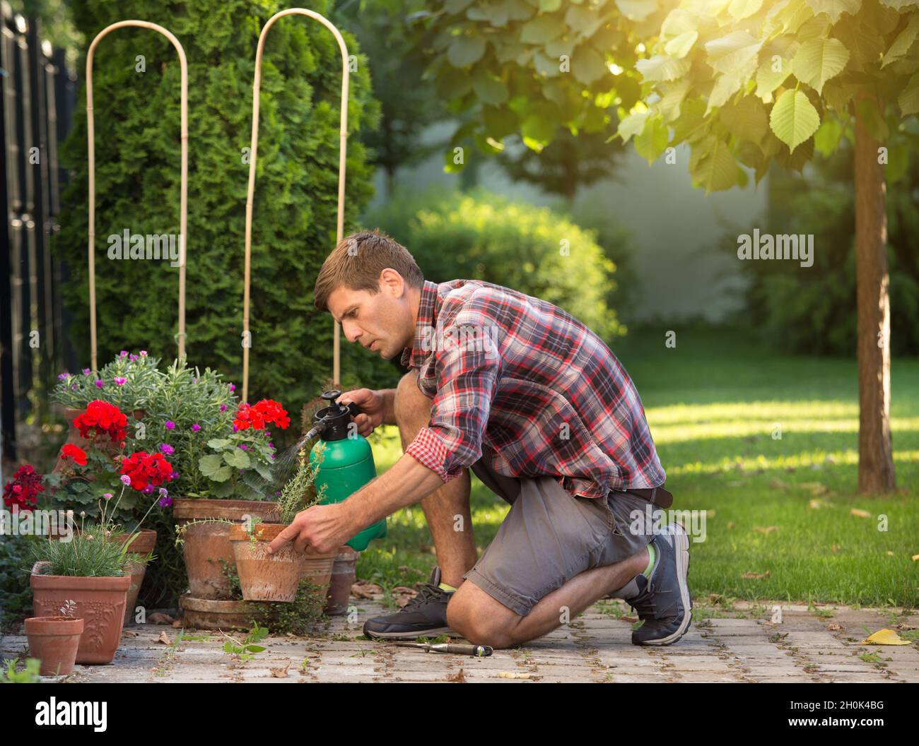 Mann mit Druckflasche und Bewässerung von Pflanzen in Blumentöpfen im Garten Stockfoto