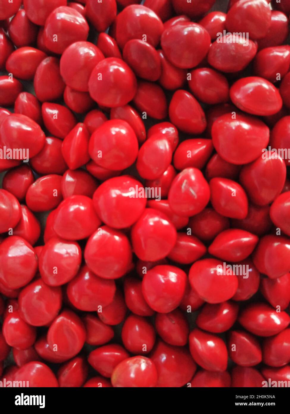 Saga Seed Acacia Beans rot in Farbe Hintergrund Stockfoto