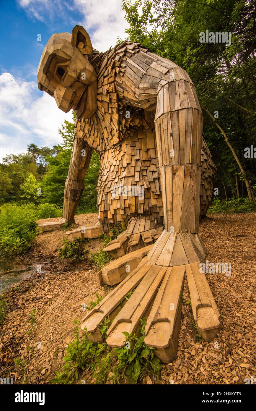 Waldgiganten im Riesenwald - Bernheim Forest - Clermont, Kentucky - 2019 Stockfoto