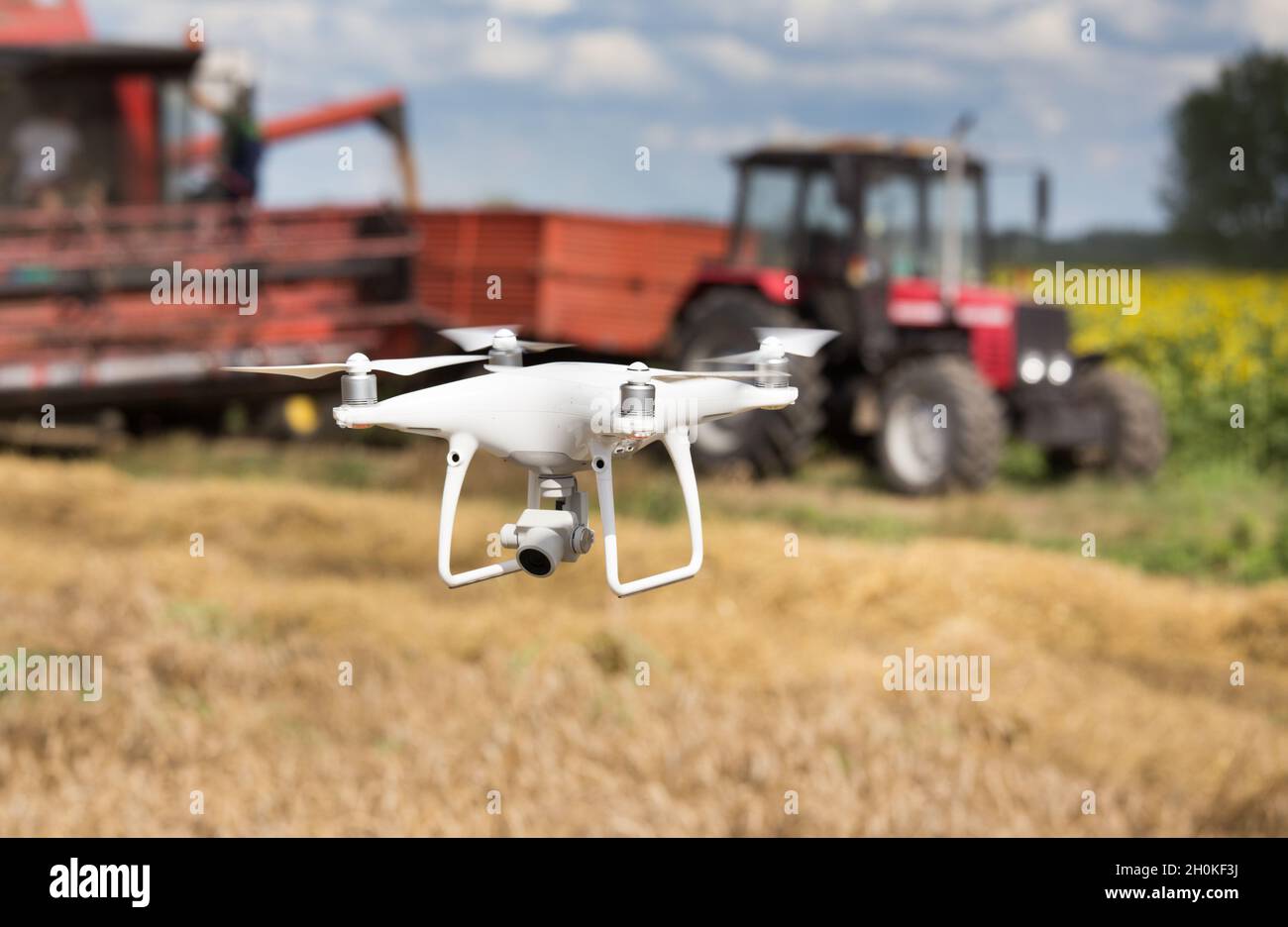 Drohne fliegt vor dem Traktor und Mähdrescher im Frühsommer auf dem Feld. Technologische Innovationen in der Landwirtschaft Stockfoto