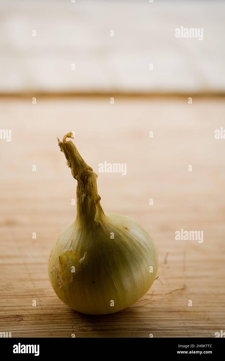 Frische Zwiebel auf einer Arbeitsplatte Stockfoto
