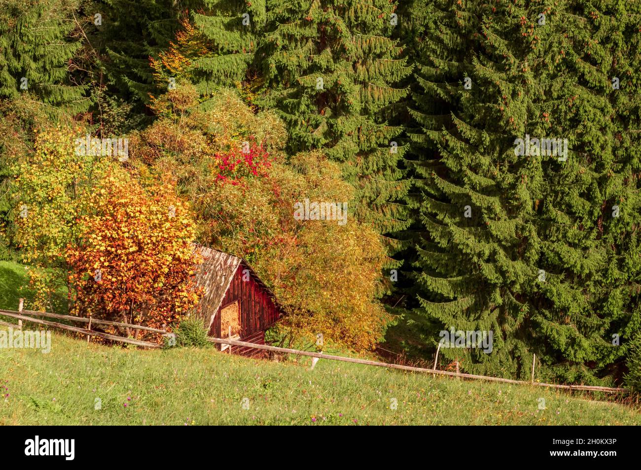 Moeciu de Sus, Kreis Brasov, Rumänien. Ländliche Herbstlandschaft in den Karpaten Stockfoto