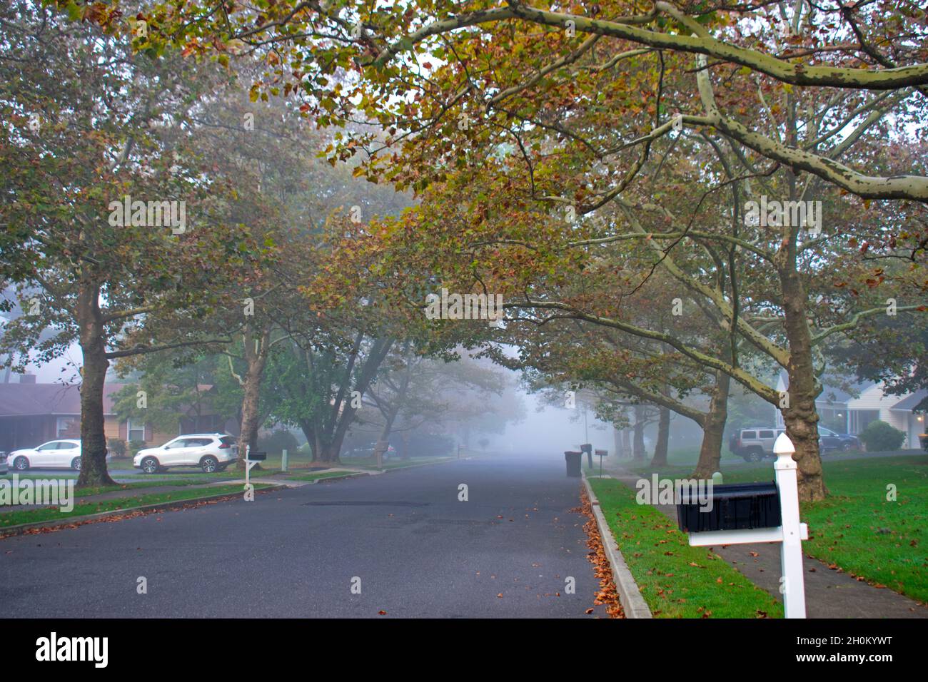 Frühmorgendlicher Nebel umhüllt ein Vorstadtgebiet in Old Bridge, New Jersey, im Frühherbst -01 Stockfoto