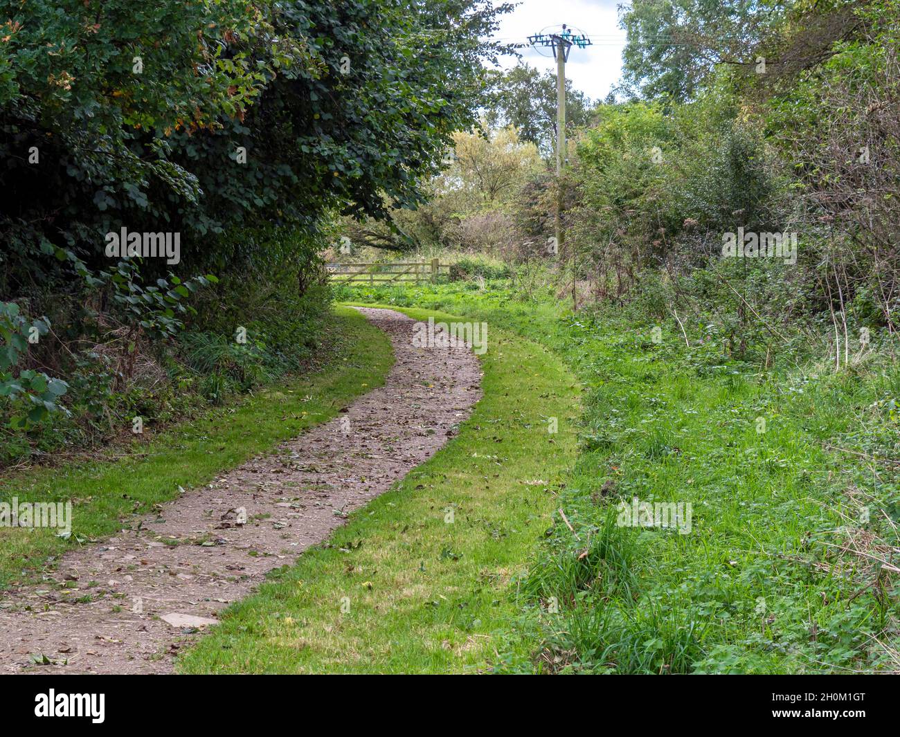 Fußweg durch Gras und Bäume mit abgefallenen Blättern Stockfoto
