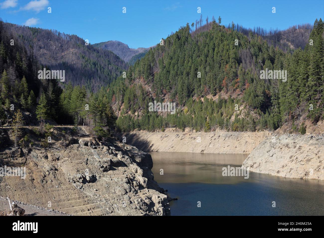 Verbrannte Bäume in den Hügeln rund um den Cougar Dam zeigen die Auswirkungen des Feiertagsfeuers von 2020 in der Nähe des Blue River, Oregon, ein Jahr später. Stockfoto