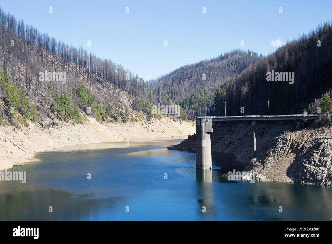 Verbrannte Bäume in den Hügeln rund um den Cougar Dam zeigen die Auswirkungen des Feiertagsfeuers von 2020 in der Nähe des Blue River, Oregon, ein Jahr später. Stockfoto