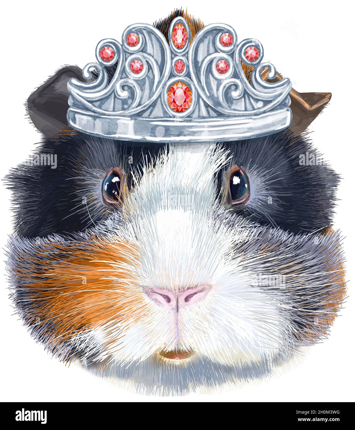 Niedliche Kavie in silberner Krone. „Pig for T-Shirt“-Grafiken. Aquarell abessinier Meerschweinchen Illustration Stockfoto