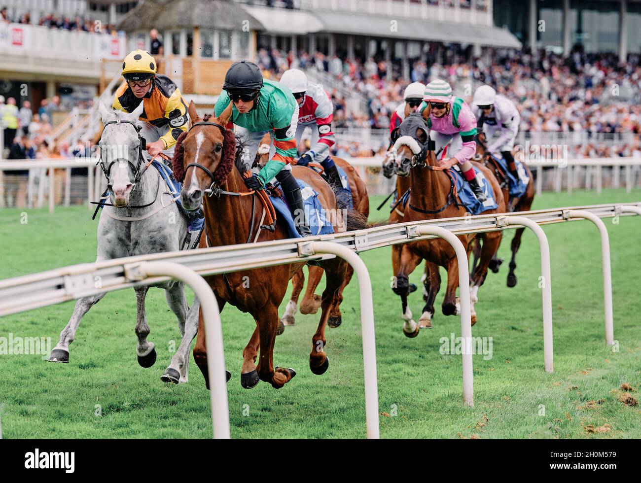 Galoppierende Rennpferde und Jockeys auf einem Sommerwochenende-Event auf der York Racecourse York, Yorkshire, England 2021 - Schnellschnellrennen Stockfoto