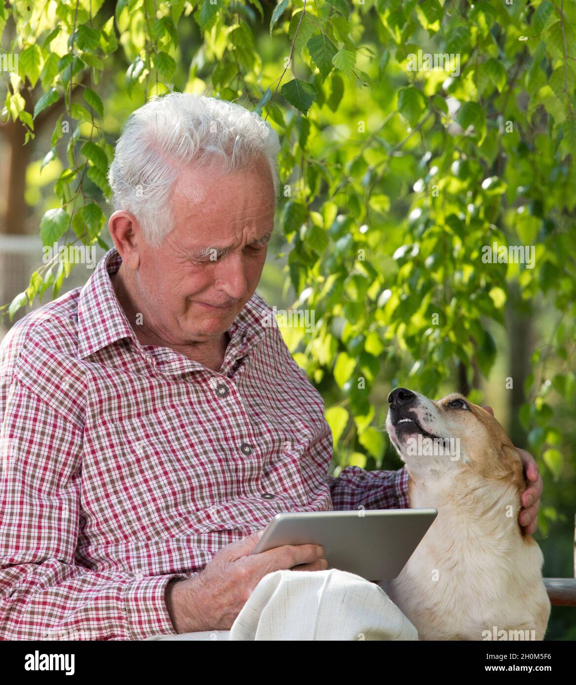 Mensch und tier traurig Fotos und Bildmaterial in hoher Auflösung Alamy
