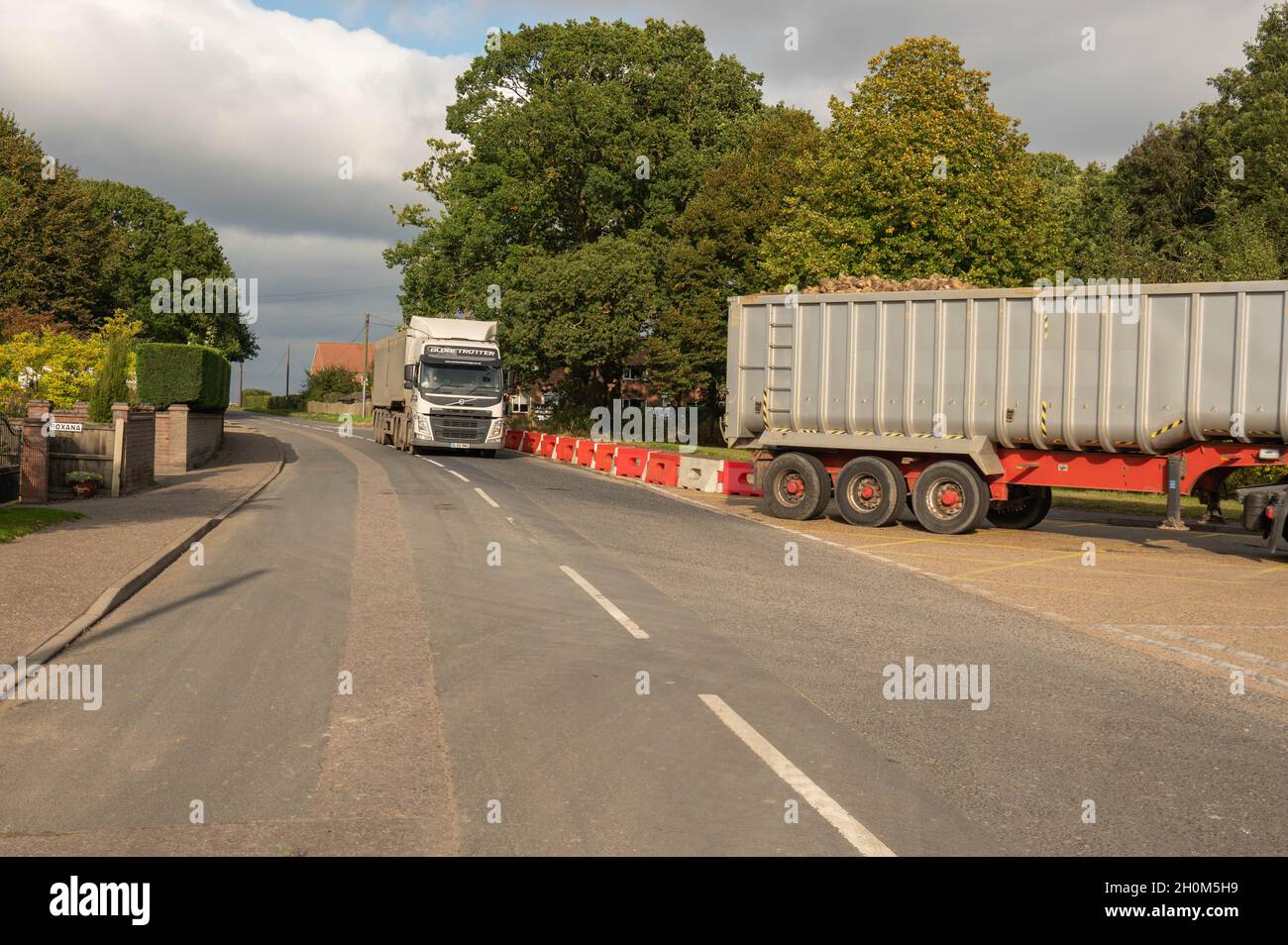 Zuckerrüben werden mit Sattelschlepper an die Cantley-Zuckerrübenfabrik in norfolk England geliefert Stockfoto