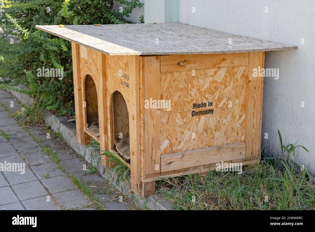 Two Dogs House Made in Germany aus recyceltem Holz Stockfoto