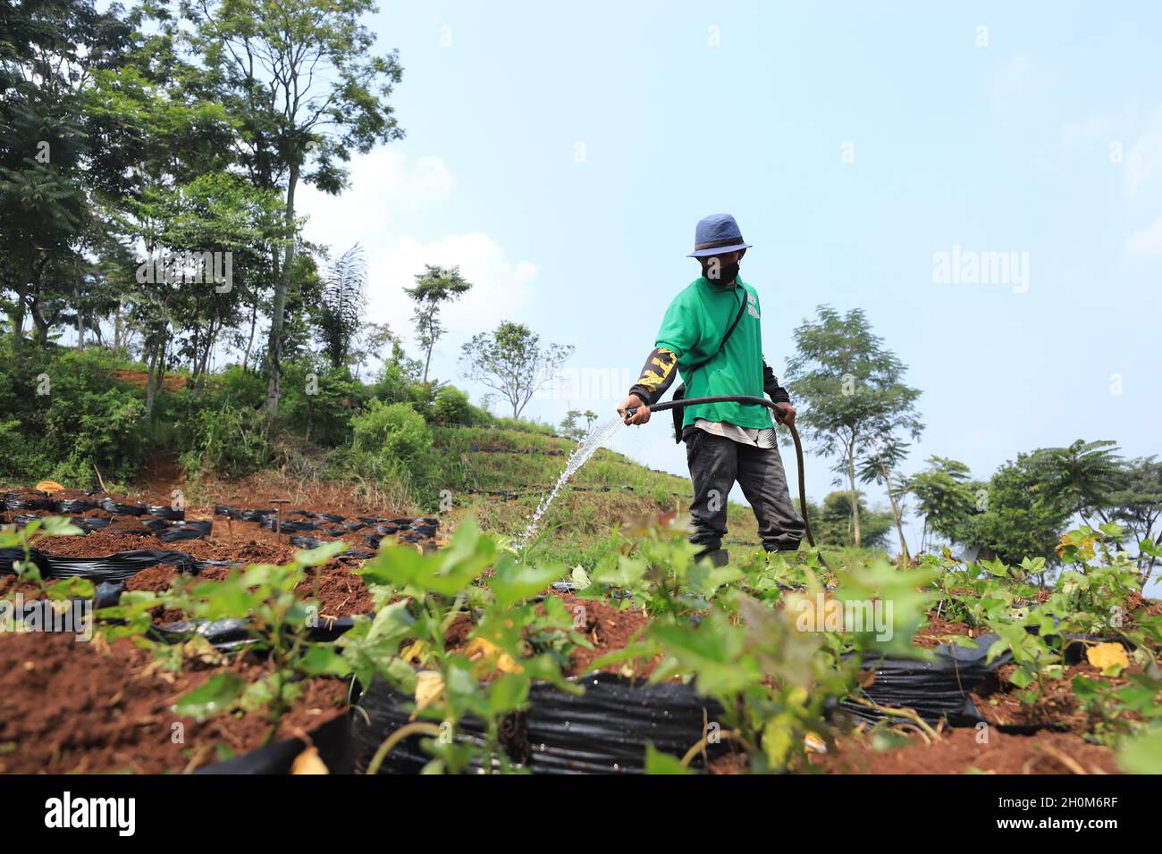 Bandung, Indonesien-September 29,2021: Snack-Händler stecken gebratenen Tempeh in eine Plastiktüte Stockfoto