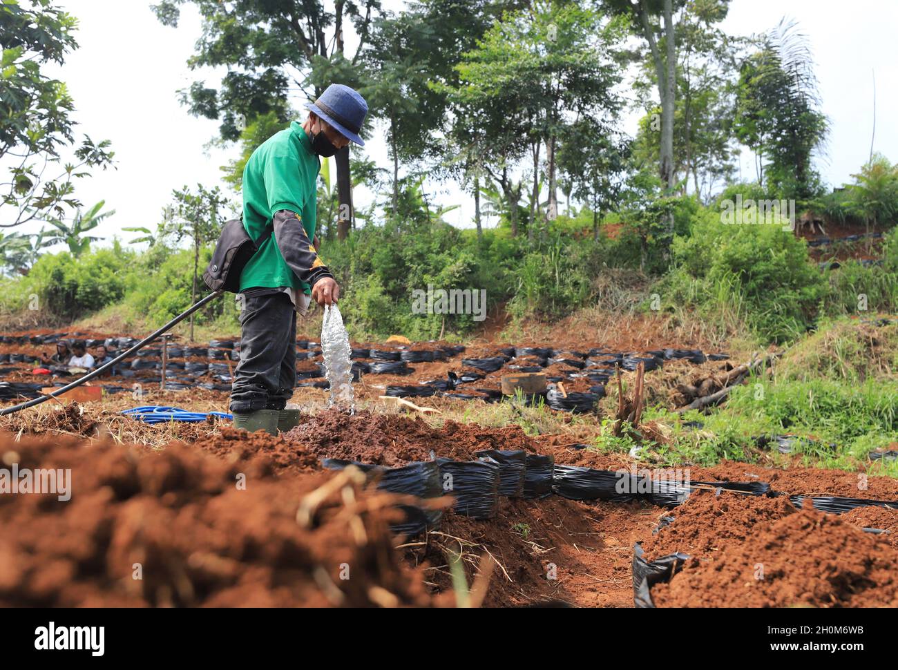 Bandung, Indonesien-September 29,2021: Snack-Händler stecken gebratenen Tempeh in eine Plastiktüte Stockfoto