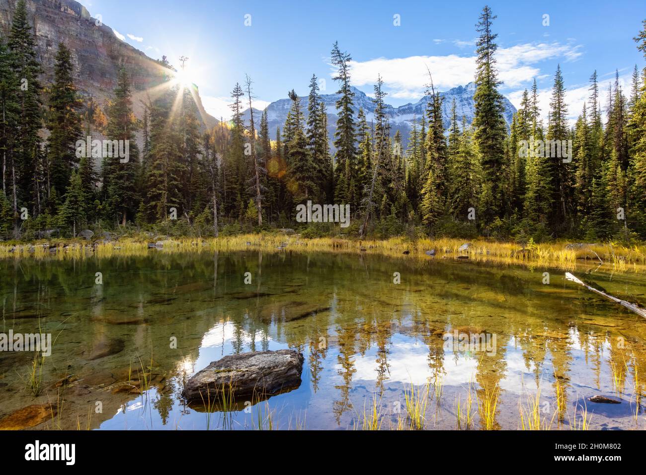 Landschaftlich schöner Blick auf den Glacier Lake mit den kanadischen Rocky Mountains im Hintergrund. Stockfoto
