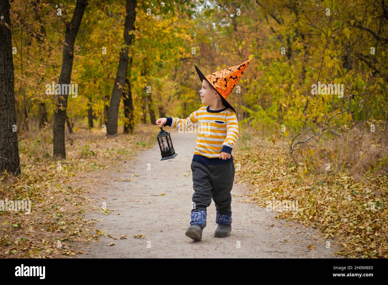 Ein Vorschuljunge spaziert mit einer Laterne im Halloween Herbstwald Stockfoto