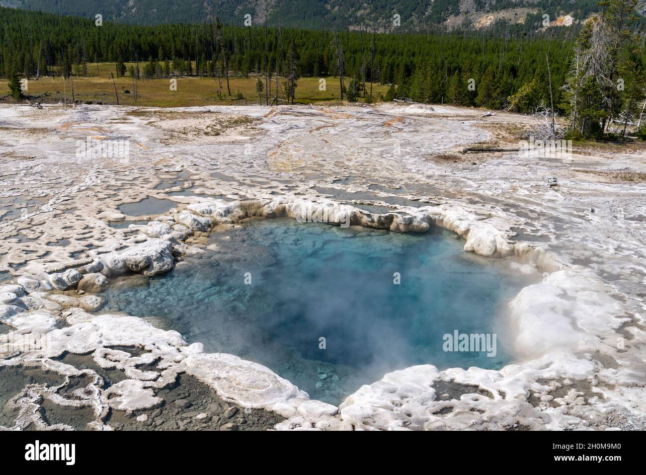 Artemisia Geysir im Yellowstone-Nationalpark Stockfoto