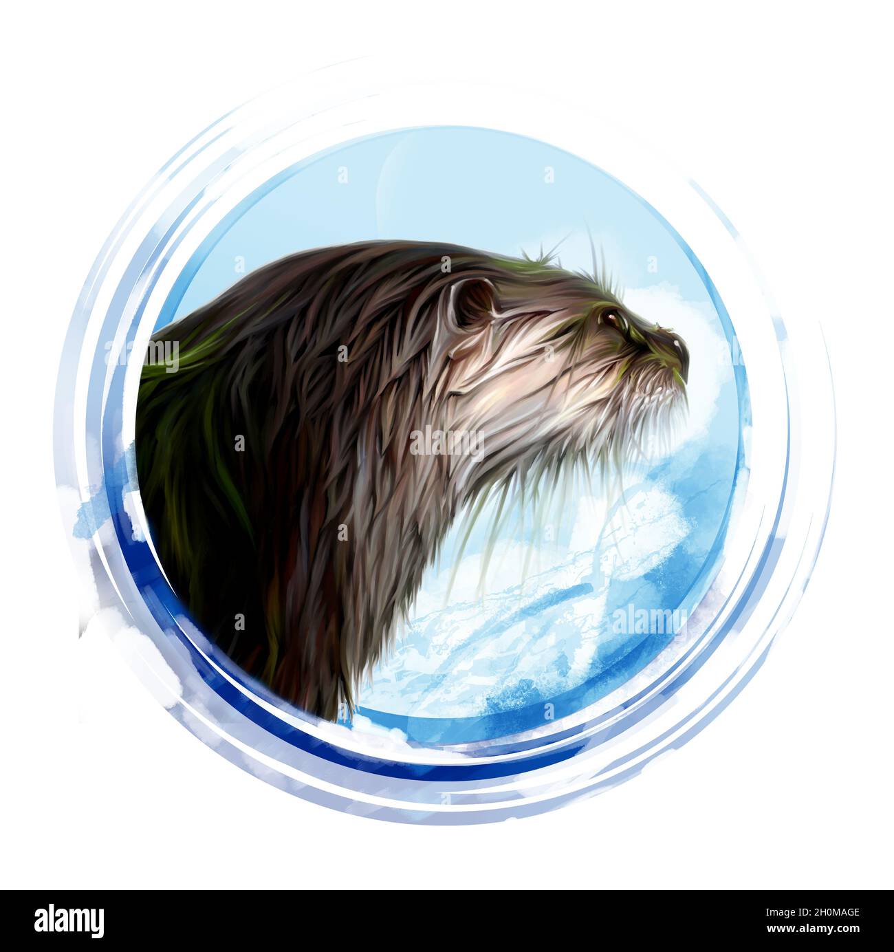 Realistische Zeichnung eines Otters, direkt vor der Nase Stockfoto