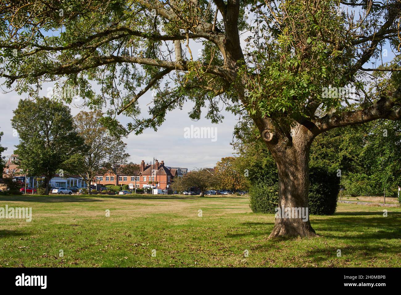 Chislehurst Common im Frühherbst, Kent, Südostengland, mit Blick auf die High Street Stockfoto