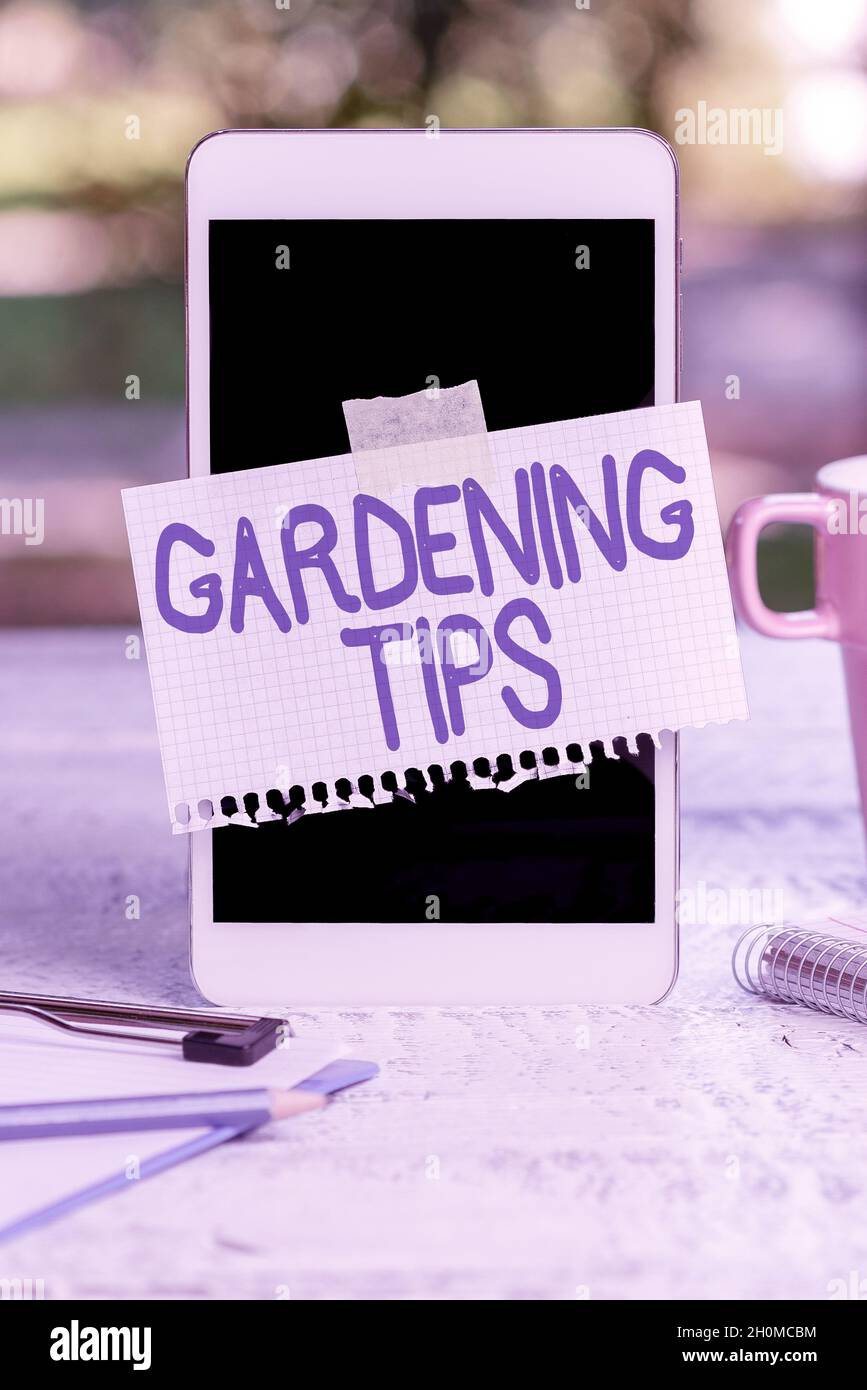 Textunterschrift mit Tipps zum Gartenbau. Wort für die richtigen Praktiken in wachsenden Pflanzen Botanischer Ansatz Abstract Outdoor Smartphone Fotografie Stockfoto