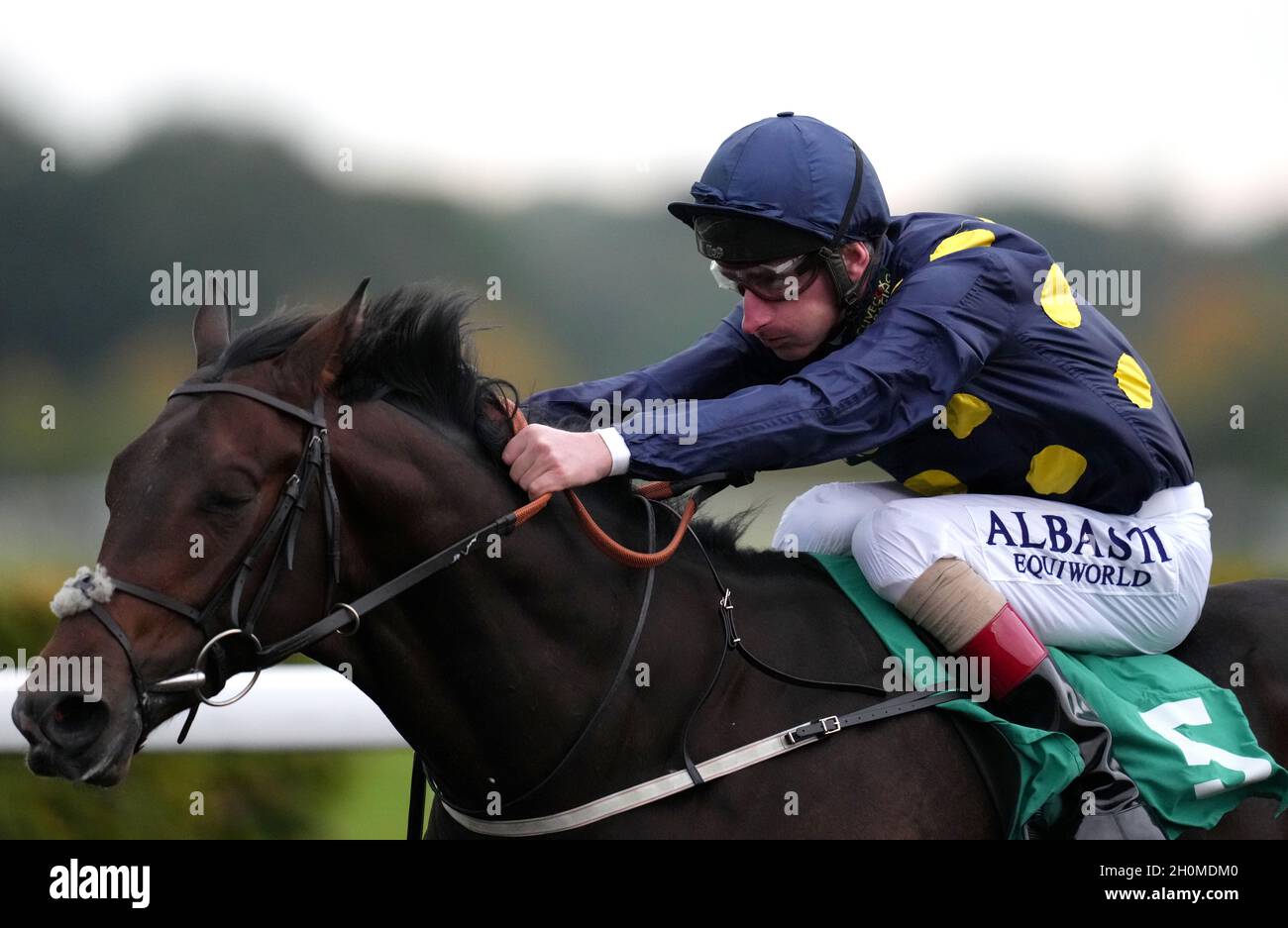 Harry Three von Jockey gefahren Adam Kirby gewinnt die Unibet Casino Einzahlung 10 Holen Sie sich 40 Bonus Novice Einsätze auf Kempton Park Racecourse, Surrey. Bilddatum: Mittwoch, 13. Oktober 2021. Stockfoto