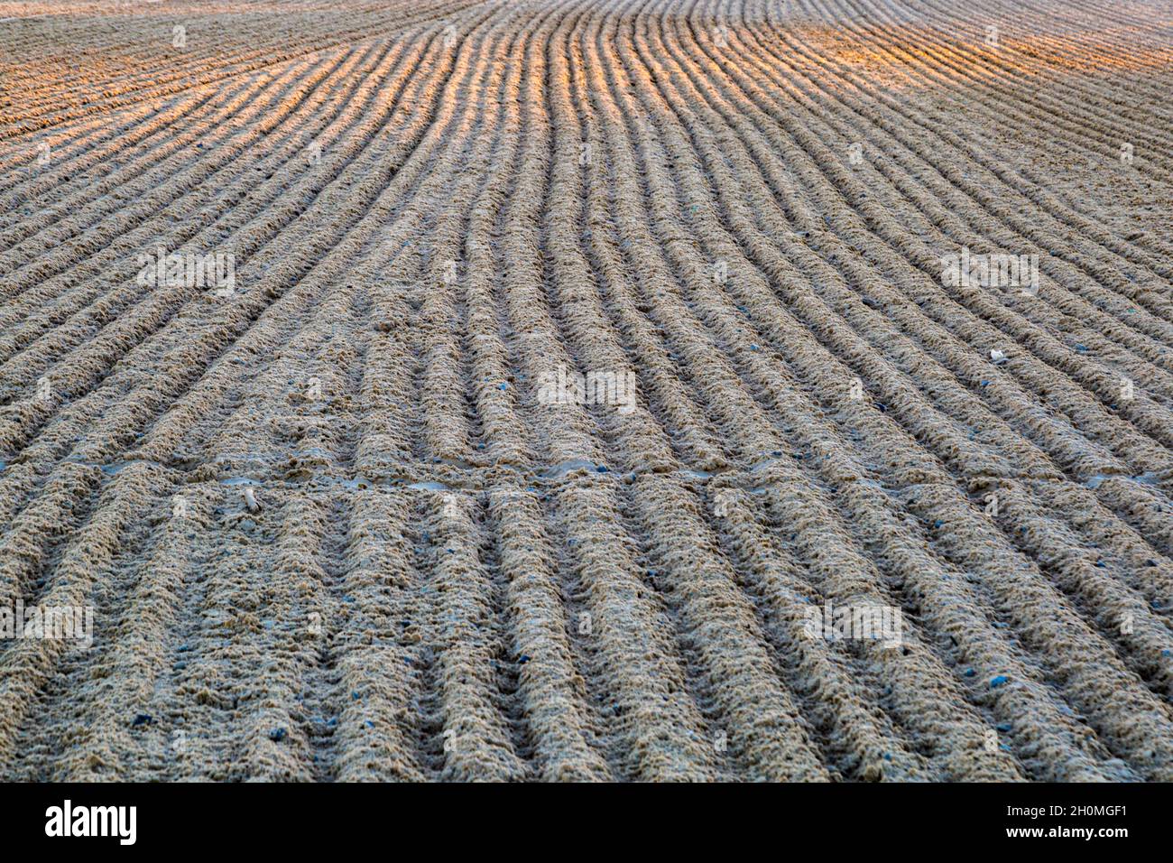 Raking des Strandes, um Schutt Blätter Muster im Sand an der Mississippi Golfküste in Gulfport, Mississippi zu entfernen Stockfoto
