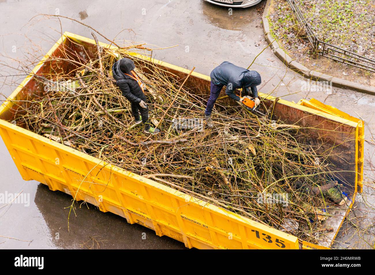Arbeiter sägen Baumzweige aus der geschnittenen Pappel im Anhänger für den Transport. Reinigung der Höfe in der Stadt, Baumarbeiten. St. Petersburg, Russland Stockfoto
