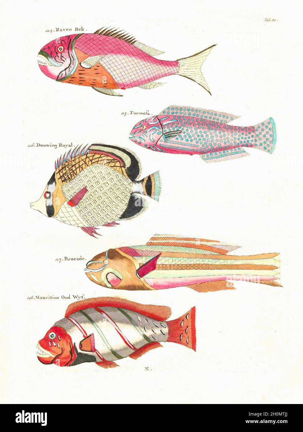 Louis Renard Vintage Fantasy Fisch Stockfoto