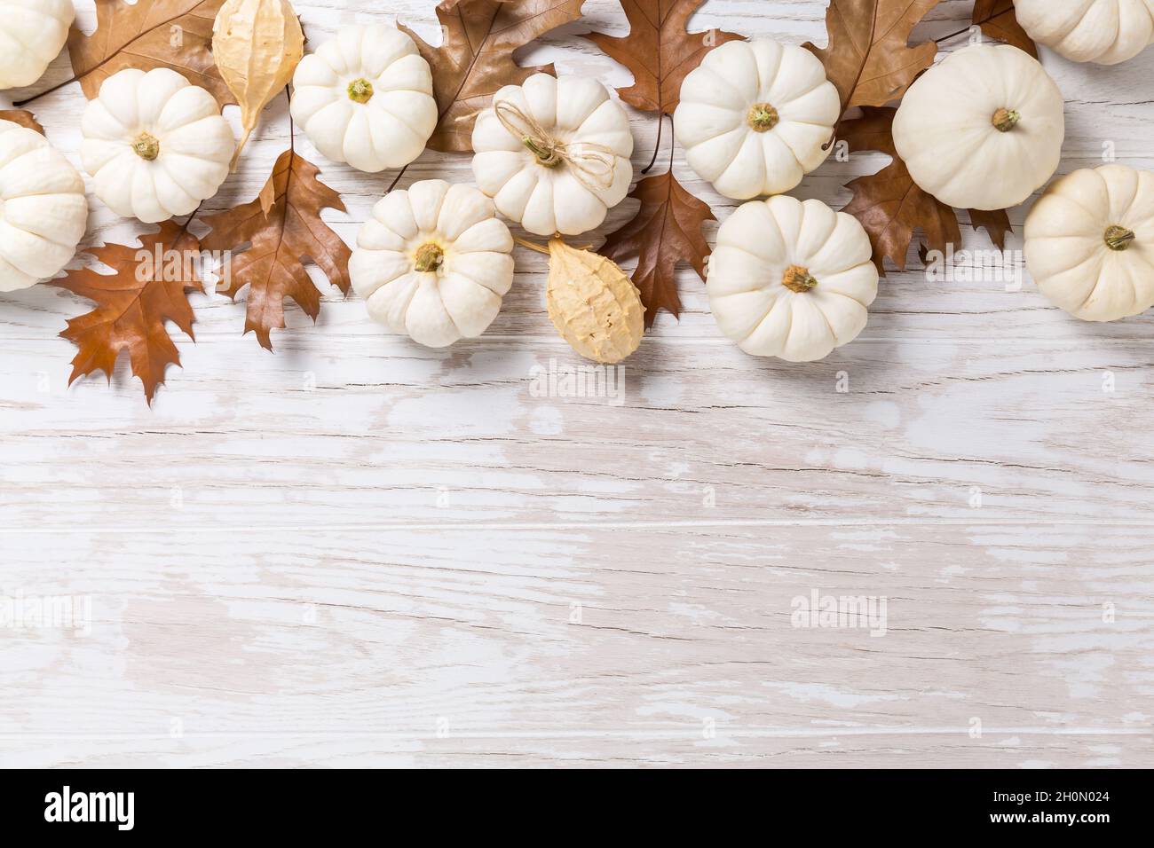 Happy Thanksgiving - Hintergrund mit weißen Kürbissen und Herbstblättern auf weißem Holzhintergrund Stockfoto