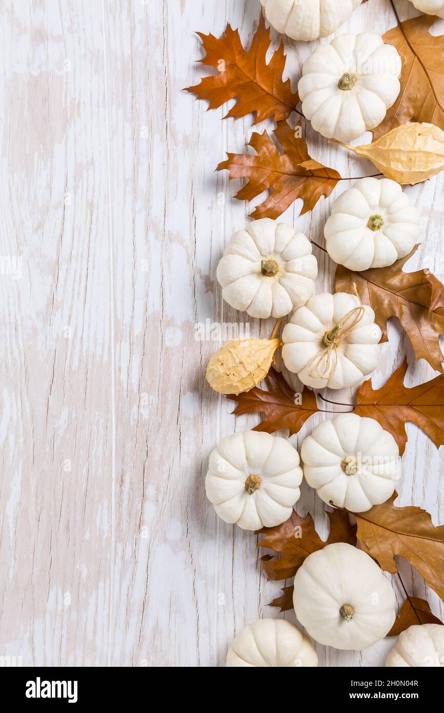 Happy Thanksgiving - Hintergrund mit weißen Kürbissen und Herbstblättern auf weißem Holzhintergrund Stockfoto