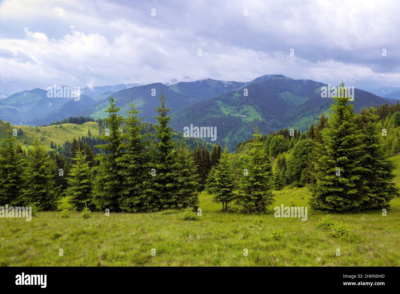 Die Stelle der Touristen ruhen Karpaten Ukraine Europa. Der schöne Blick auf die Landschaft der hohen Berge öffnet sich aus dem grünen Tal, das mit g bedeckt ist Stockfoto