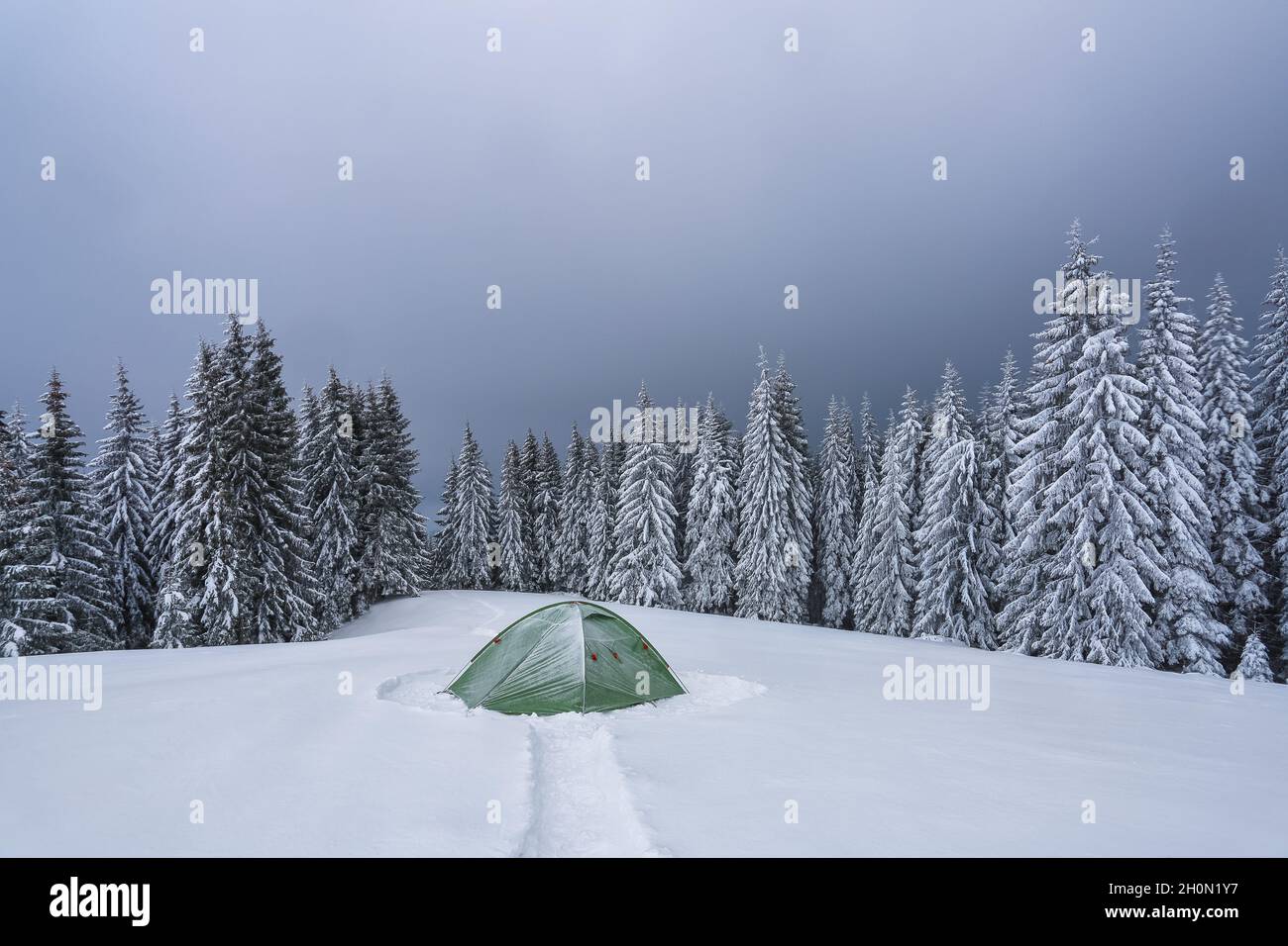 Kalter Wintertag. Grünes Zelt steht auf dem verschneiten Rasen. Hohe Fichten. Touristischer Campingplatz Rastplatz. Berglandschaft. Erstaunliche Wald bedeckt mit Stockfoto