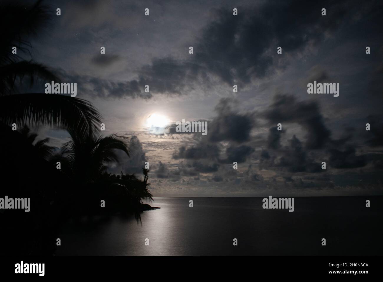 Laughing Bird Caye ist eine Belizische Insel, die 11 Meilen vor der Küste von Placencia Village im Stann Creek District von Belize liegt. Diese lange, schmale Insel steht auf einem langgestreckten Riffrücken, der als faro bekannt ist - ein kantiges Atoll auf einem kontinentalen Schelf, das steil abfällt und eine zentrale Lagune umschließt. Belize. Stockfoto