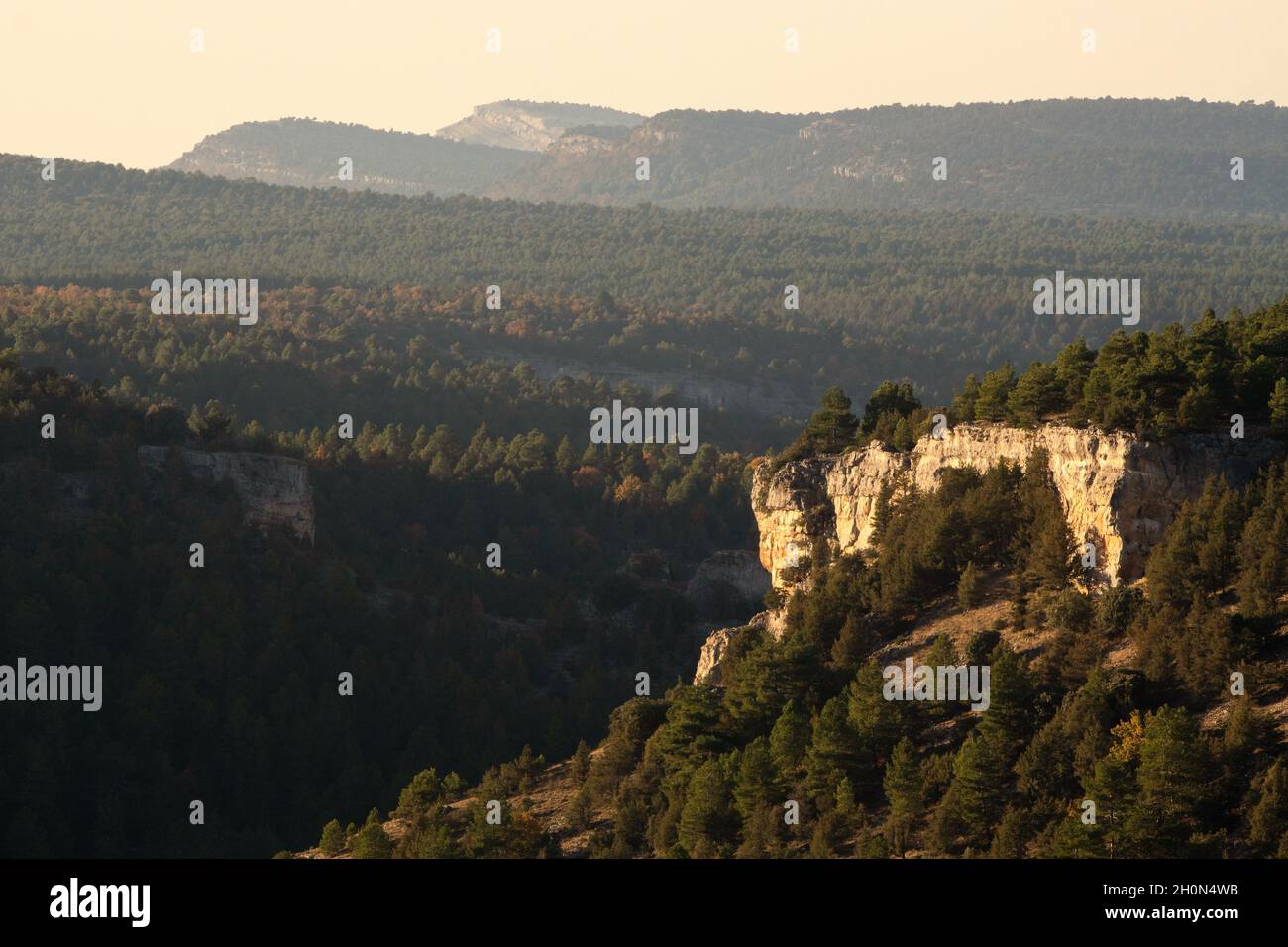 Blick auf den Lobos River Canyon (Cañon del rio lobos) seit dem Aussichtspunkt La Galiana bei Sonnenuntergang, Soria, Castilla y Leon, Spanien. Stockfoto