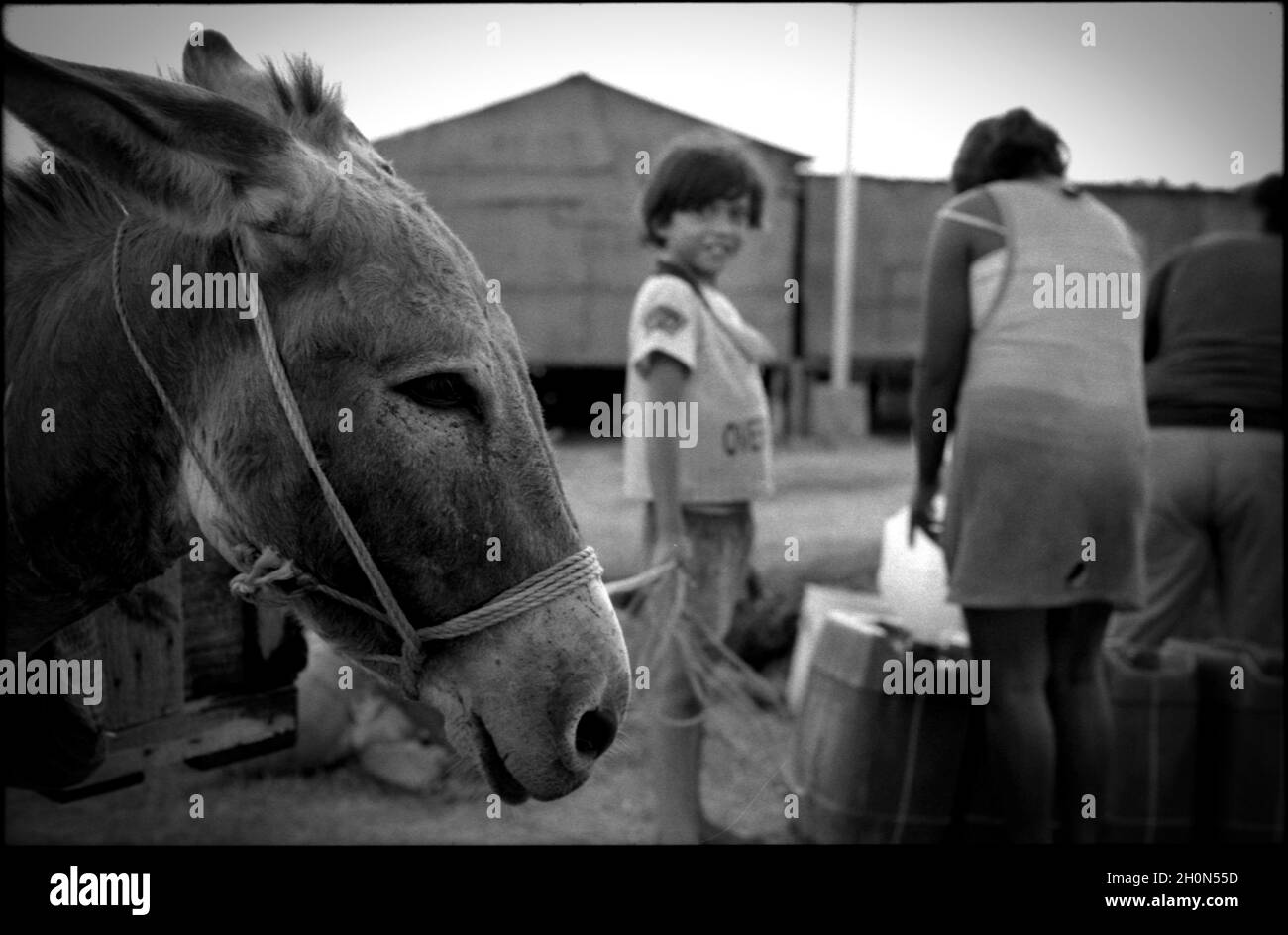 Die Insel Zapara liegt vor der Küste Venezuelas in der Gemeinde Almirante Padilla im Bundesstaat Zulia, nahe dem Eingang zur Bucht von Tablazo. Auf einer Fläche von sieben Quadratkilometern ist er fast vollständig mit Sanddünen bedeckt, die bis zu 30 Meter erreichen können. Die Insel ist an der Nordküste mit Kokospalmen und Korallenriffen übersät und über ein kleines Dock erreichbar. Zapara, Venezuela. Stockfoto