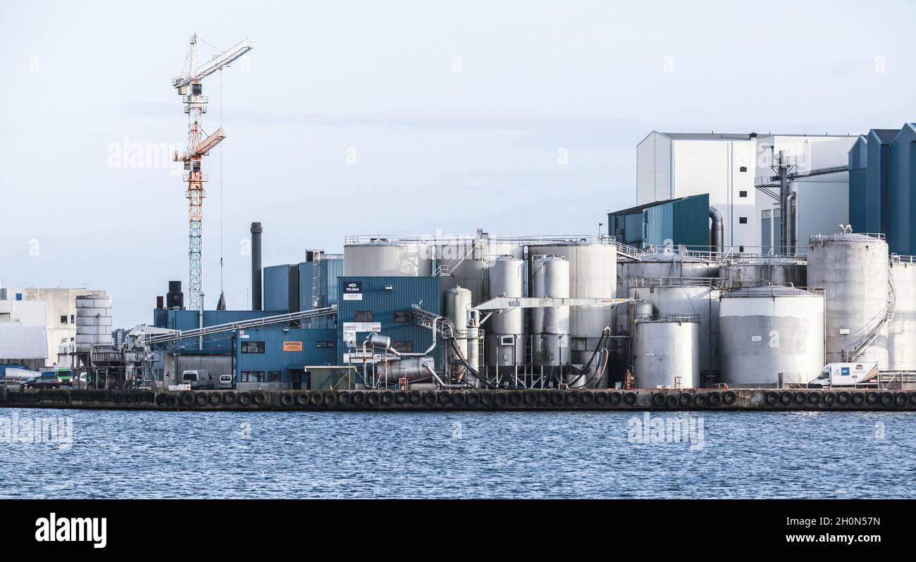 Avaldsnes, Norwegen - 15. November 2017: Pelagia ALS Karmsund Fiskemel. Norwegische Fischfabrik, Industriegebäude und Tanks stehen auf einer Meeresküste Stockfoto