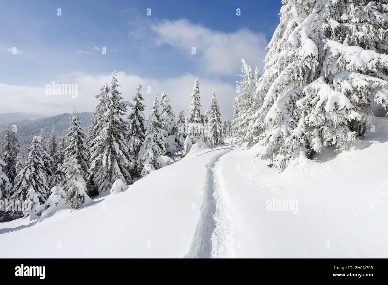Der breite Weg. Schöne Landschaft im kalten Wintermorgen. Weihnachtswald. Lage Ort der Karpaten, Ukraine, Europa. Stockfoto
