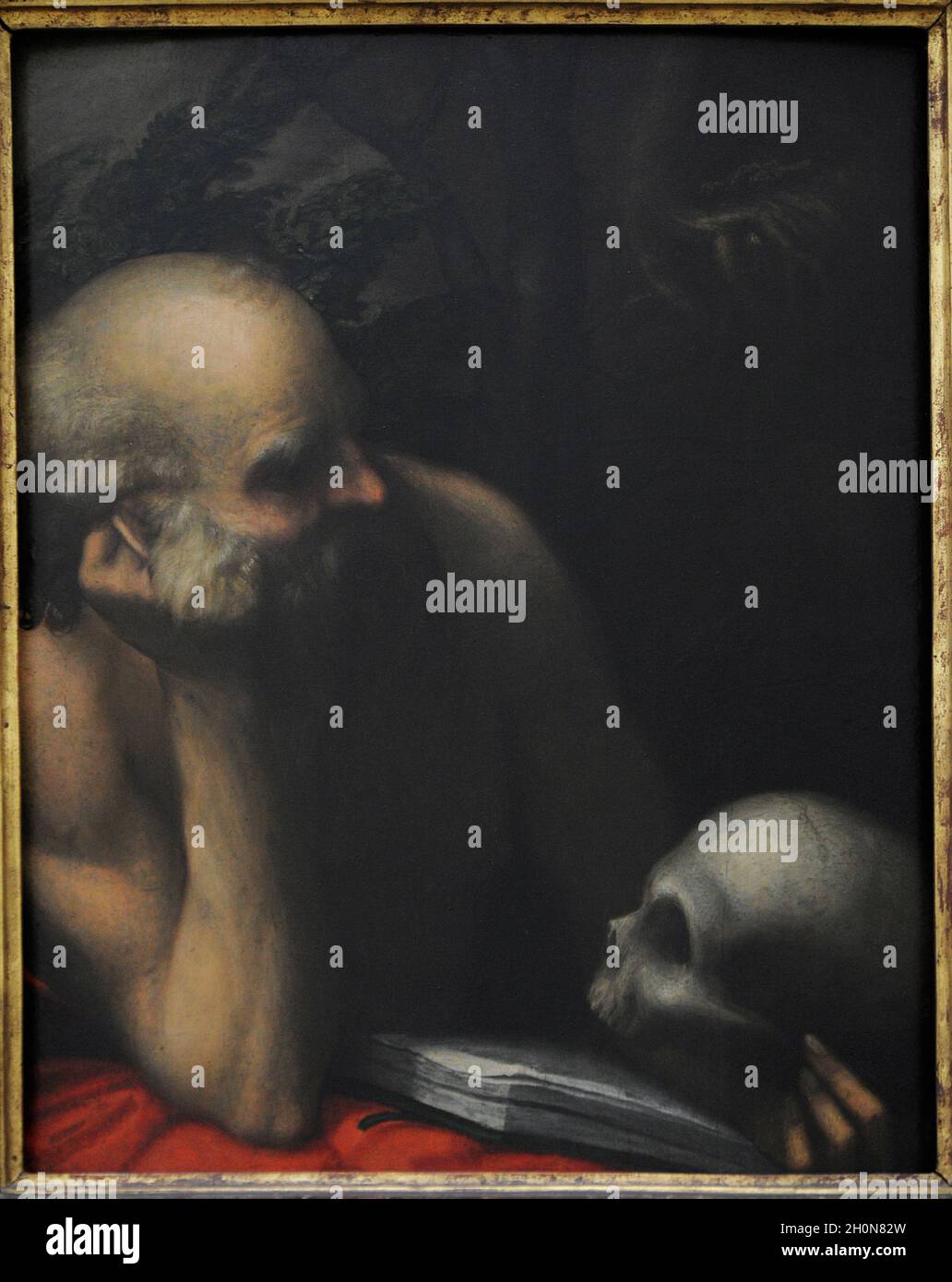St. Jerome (ca. 340-420). Doktor der Kirche. Porträt von Antonio Allegri Il Correggio (1489-1534), 1515-1518. San Fernando Royal Academy of Fine A Stockfoto