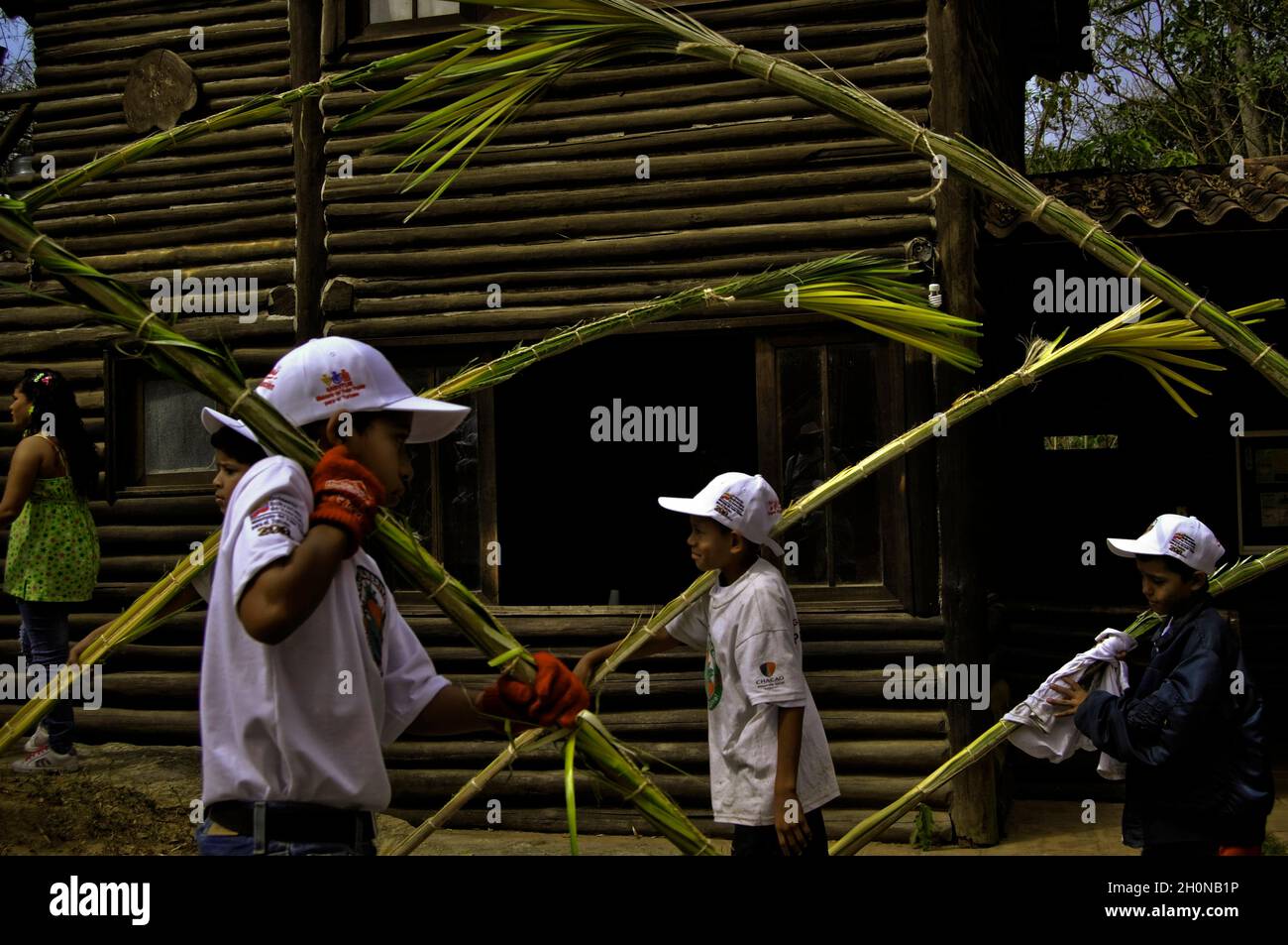 PALMEROS VON CHACAO die Venezolaner feiern den Palmsonntag während der Semana santa-Feierlichkeiten in Caracas. Mehrere hundert Palmeros bestiegen den Berg El Avila, um Palmenzweige für alle Kirchen in der Stadt zu senken. Bewohner begrüßten sie am Fuße des El Avila mit einer Prozession in die Stadt..Caracas - Venezuela 2010.(Copyright © Aaron Sosa)..Los Palmeros de Chacao es una tradici€n que Data de cerca de 1770, cuando el p?rroco Jos» Antonio Mohedano, Ante la recurrencia de la peste de la fiebre amarilla que azotaba el valle de Caracas, quiso solicitar clemencia a Dios con una promesa y envi€ Stockfoto