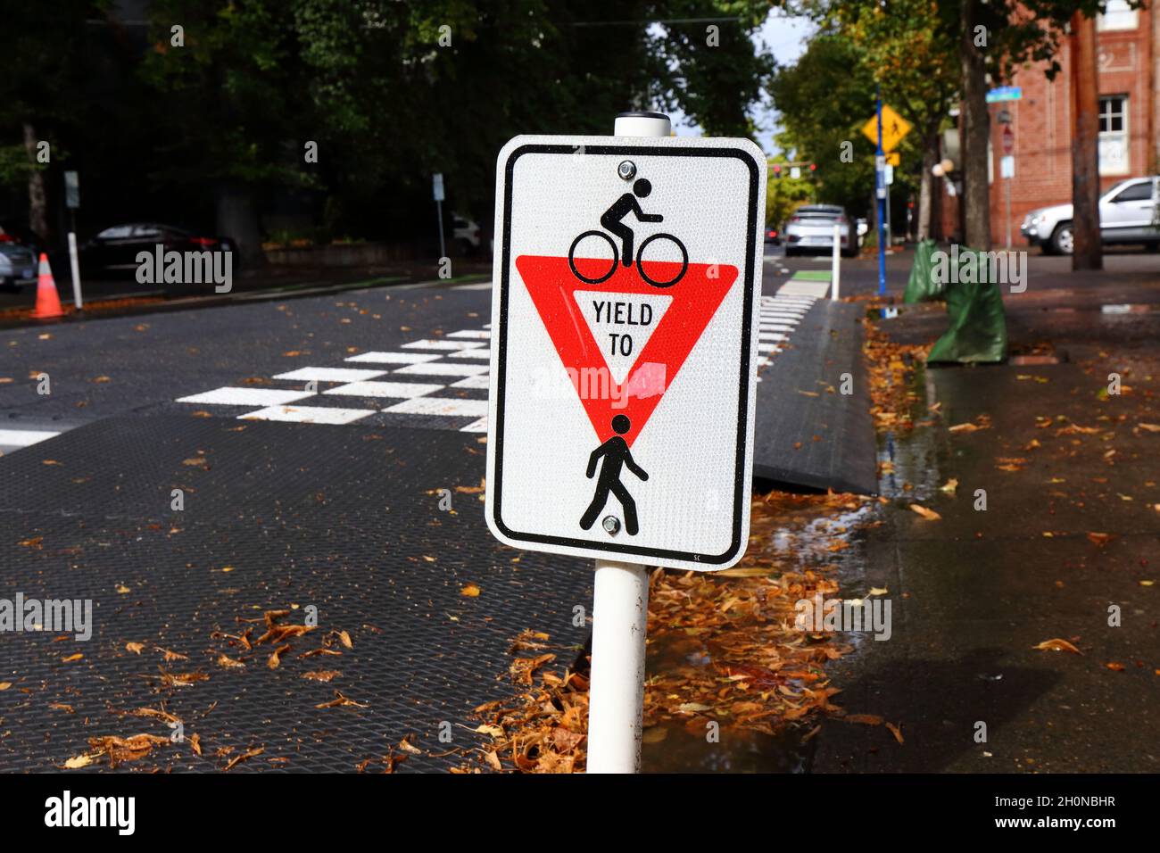 Ein Fahrradfahrer erbringt ein Fußgängerschutzschild auf einem Radweg, der eine Bushaltestelle an der NW 18th St in Portland, Oregon, kreuzweise. Bus-Glühbirne Stockfoto