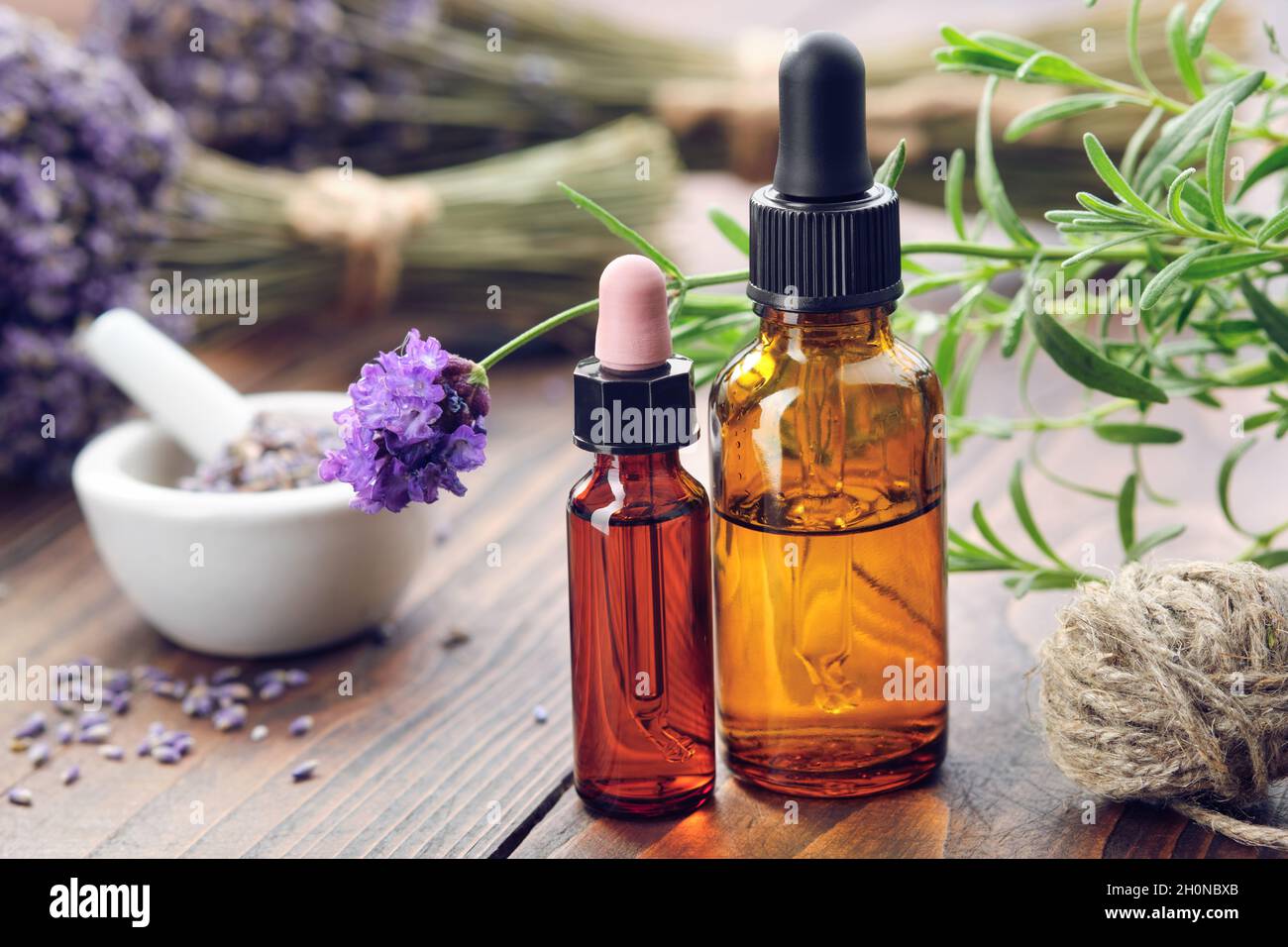 Tropfflaschen mit ätherischem Lavendelöl, frischen und getrockneten Lavendelblüten auf dem Hintergrund. Stockfoto