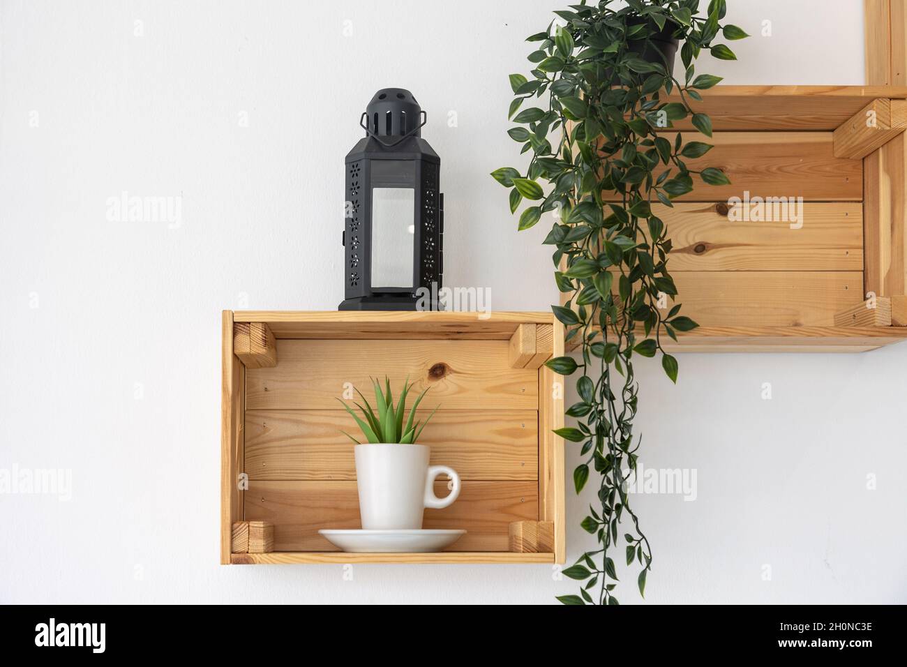 An der weißen Wand befestigte Holzkisten als dekorative Regale für Pflanzen Stockfoto