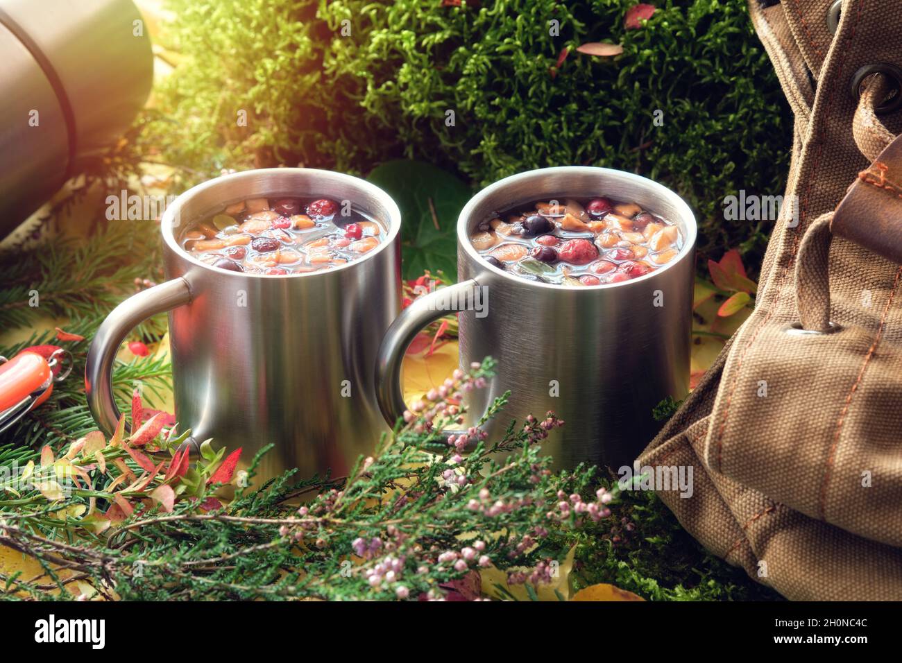 Wanderbecher von gesundem Früchtetee, Segeltuchrucksack von Reisenden, Thermoskannen, herbstliche Blätter, Waldmoos, Zweige von Heidekraut und Fichte im Herbst für Stockfoto