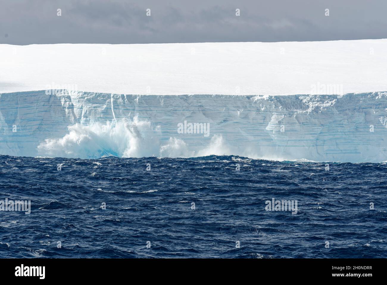 Tabellarischer Eisberg, der ins Meer kalbt. Südlicher Ozean, Antarktis Stockfoto