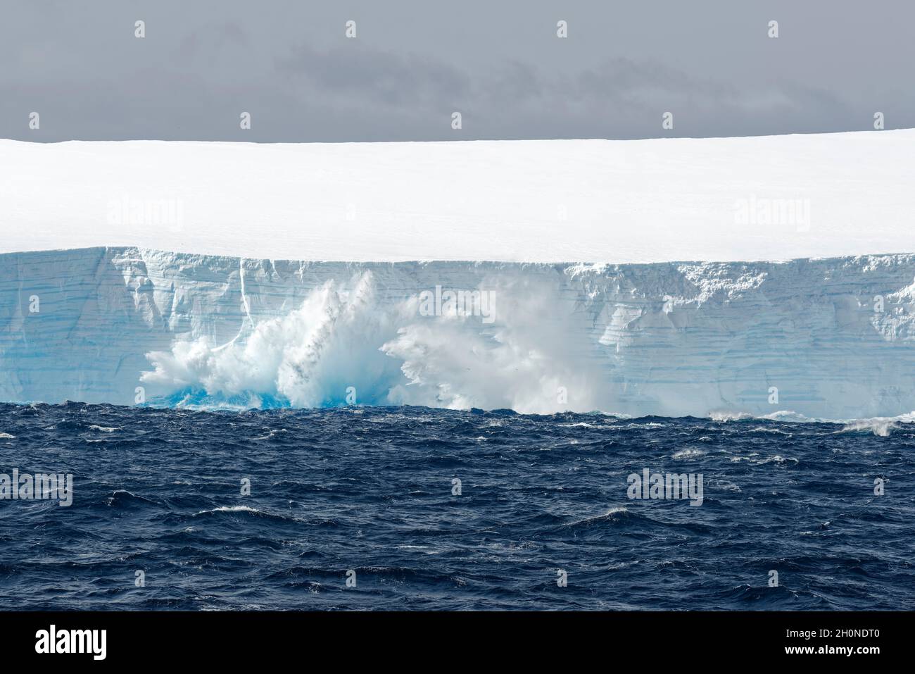 Tabellarischer Eisberg, der ins Meer kalbt. Südlicher Ozean, Antarktis Stockfoto