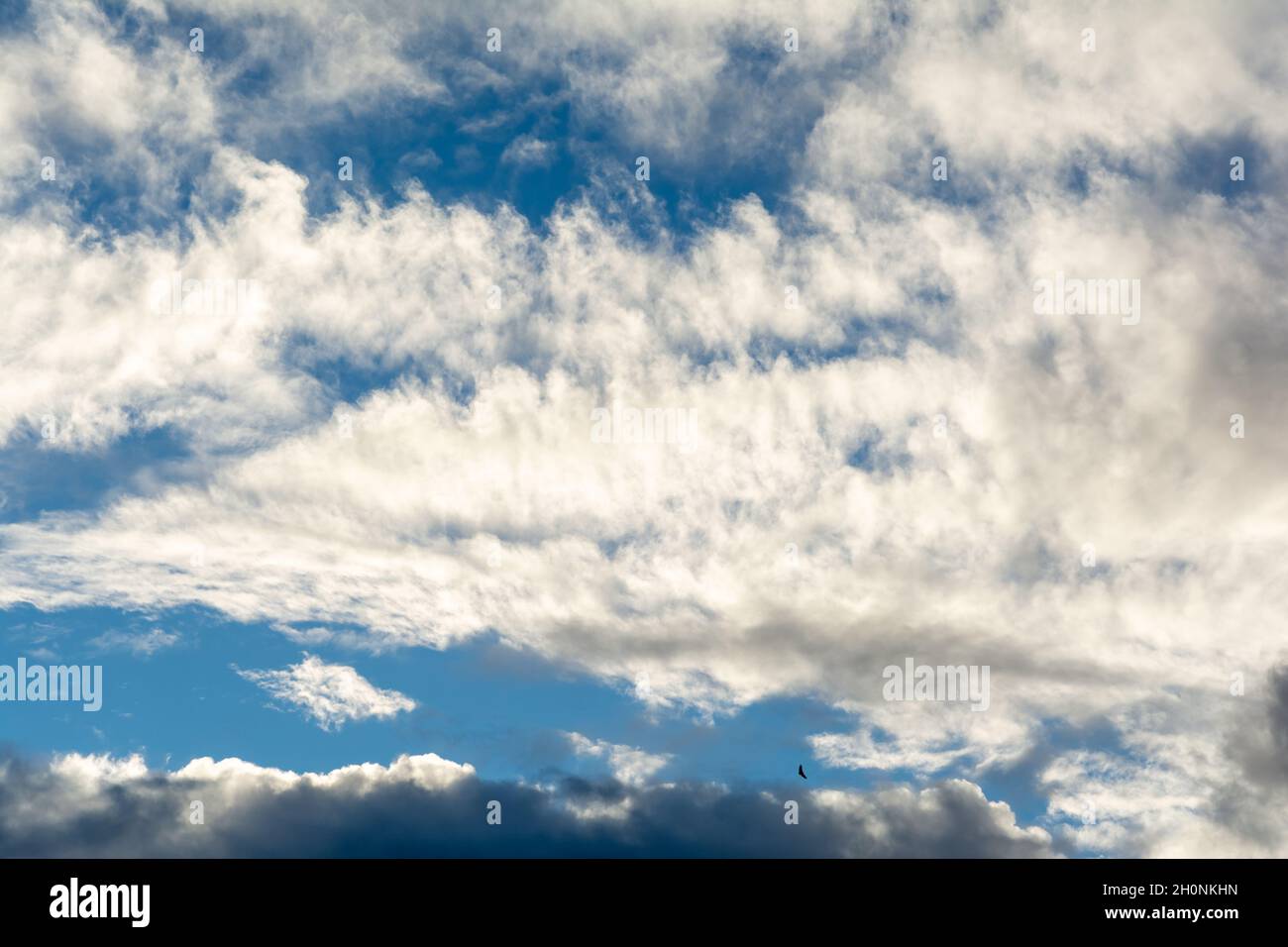 Weiße Wolken am blauen Himmel an einem hellen, sonnigen Tag. Salvador Bahia Brasilien. Stockfoto