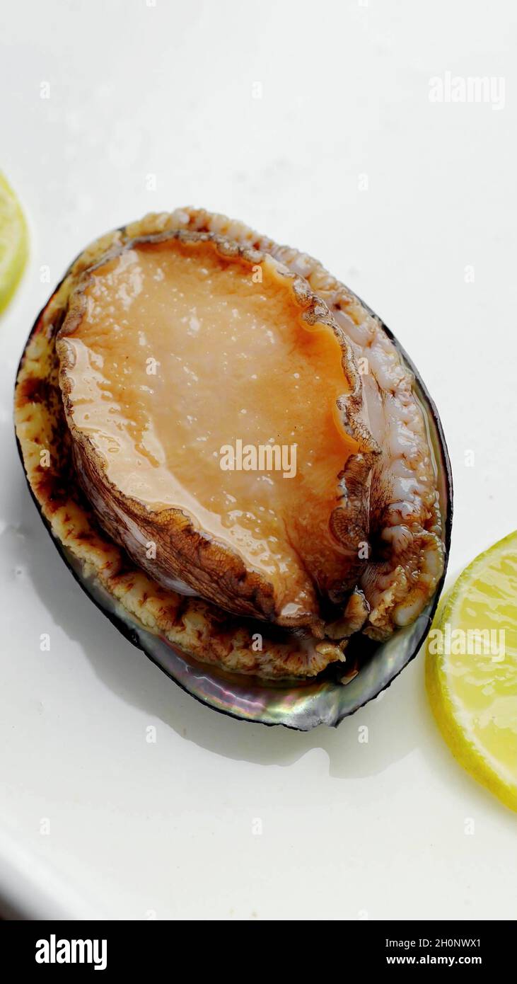 Eine Draufsicht auf Limpet Stockfoto