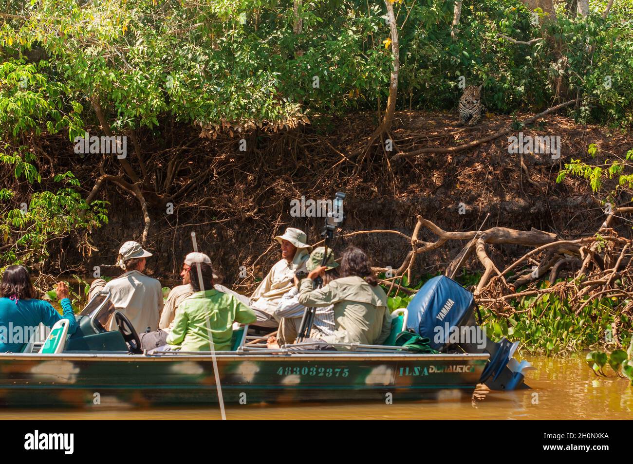 Touristen auf Booten auf der Suche nach Jaguaren auf dem Fluss Tres Irmãos, Pantanal, Mato Grosso, Brasilien Stockfoto