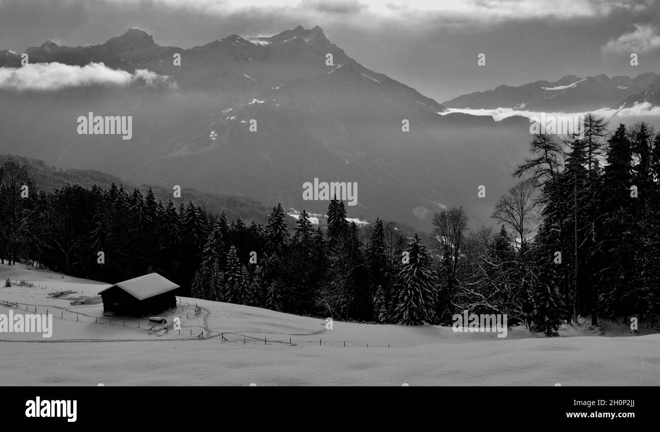 Blick auf die Alpen von Les Ecovets oberhalb von Villars sur Ollon. Stockfoto